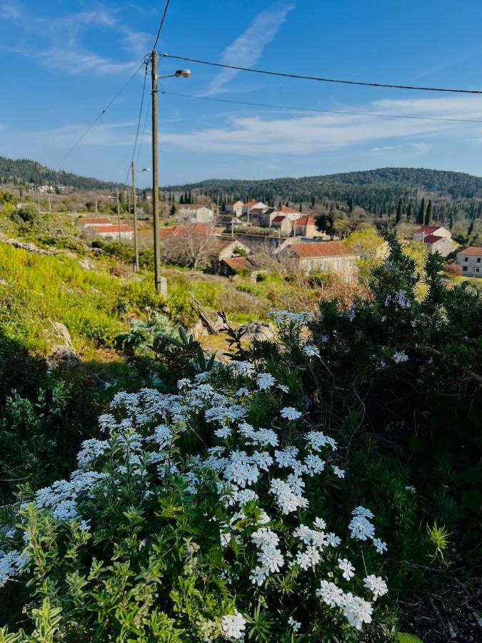 Country House Bakicevo Cilipi Exterior photo