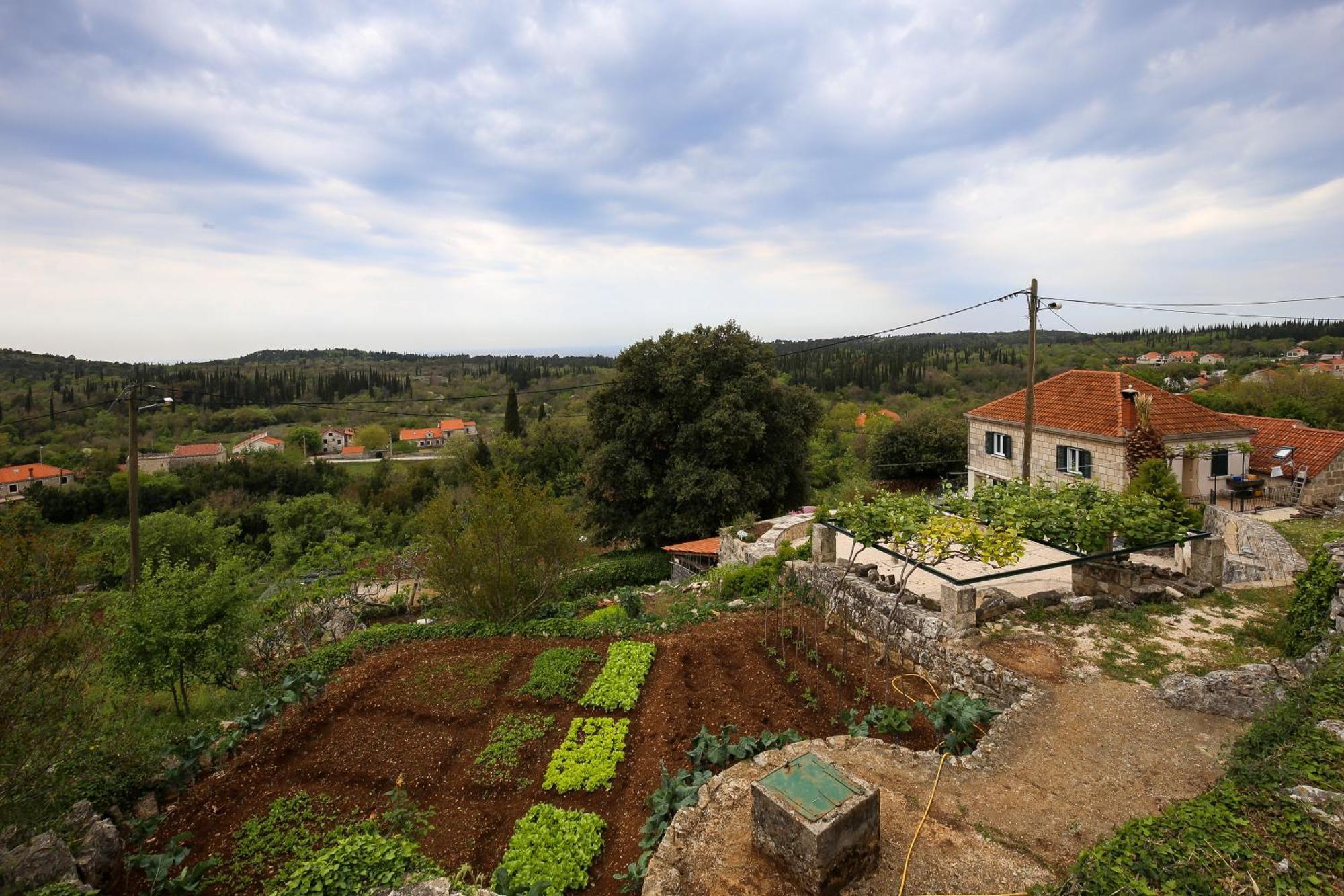 Country House Bakicevo Cilipi Exterior photo